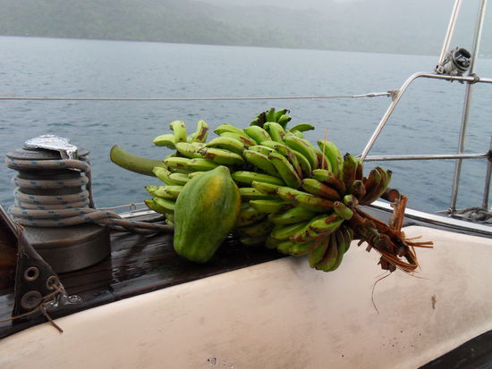 Für Vitamine ist gesorgt (allerdings müssen die Bananen noch etwas reifen ...)