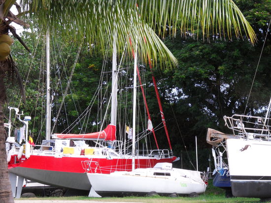 Auch in die Erde eingegraben kann die Zyklon-Saison gut überstanden werden.