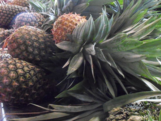 ... ANANAS ...