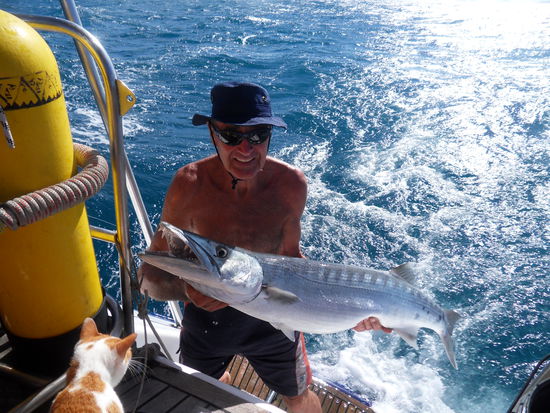 ... diesen fetten BARRACUDA!!! Ein Prachtexemplar - dem wir aber leider wieder die Freiheit schenken, falls er Ciguaterra haben sollte.