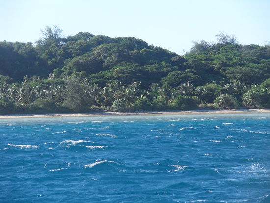 Oder ist jemand anderer Meinung???