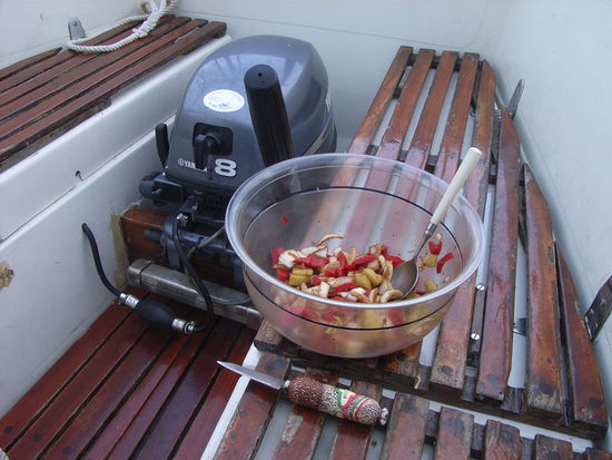 ... von Skipper Sven schon ein leckerer Salat zubereitet!