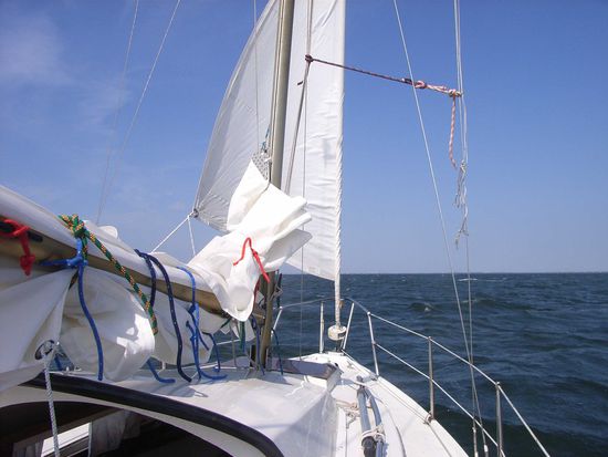 WIR SIND IN DER OOSTERSCHELDE!!!
Viel mehr Platz als im Veerse Meer ...