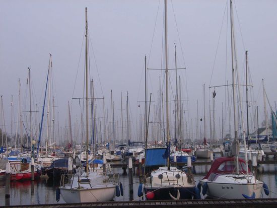 Delta Marina - da liegen schon ein paar Boote rum!!!