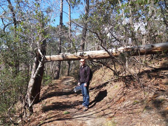 Wo ist sie denn, die fette Düne???