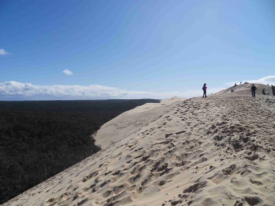 Himmel, Pinien, Sand, Leute