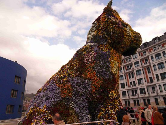 Der "Blumenhund" vor dem Museo Guggenheim, beeindruckender floraler Hingucker (sind alles frische Stiefmütterchen)