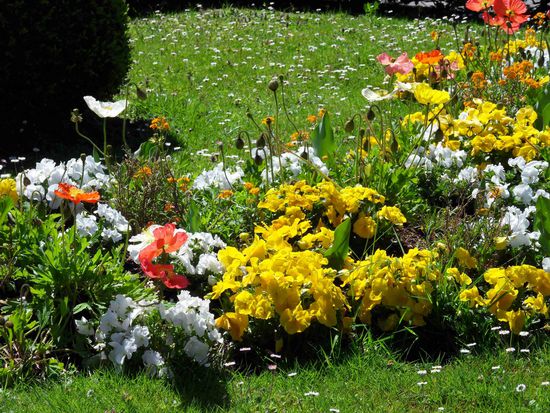 Blumen schmücken die Wiesen vor dem Kloster