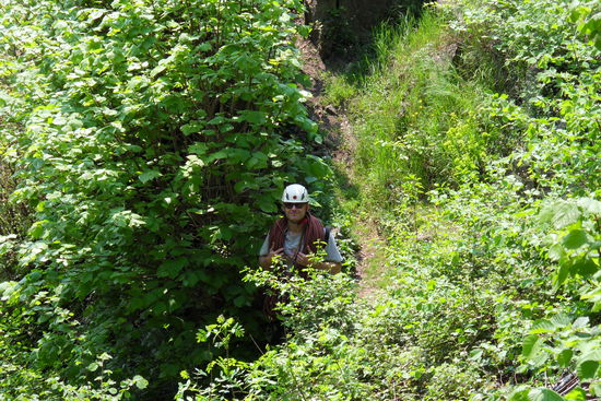 Abstieg - schmaler Pfad mitten durch eine frühlingshaft wild wuchernde Landschaft, recht nett!