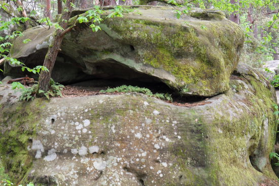 ...  die ersten Felsen ...