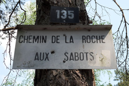 ... auf gut markierten Wegen ...