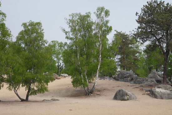 ... nähern wir uns einem der Wahrzeichen des Gebiets "Trois Pignons"  ...