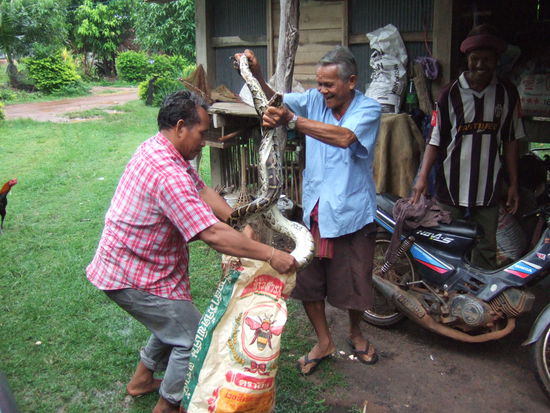 Schnell zurueck in den Sack
