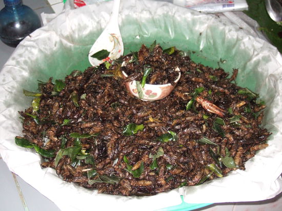 Duerfen es auch ein paar Heuschrecken sein ?