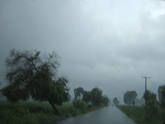 Mittags kam dann der grosse Regen...