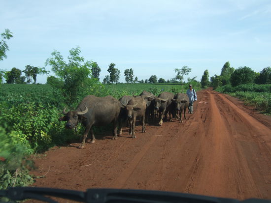 und Abschied von der Natur.