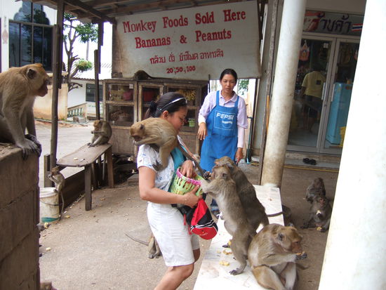 Jetzt wurde es der Affenmama auch bald zuviel.