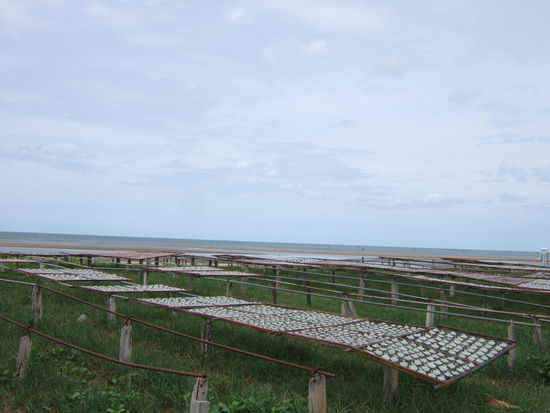 In Pranburi wird Fisch getrocknet soweit das Auge reicht.