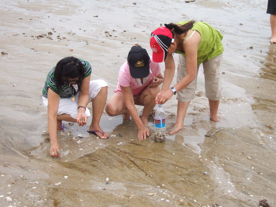 Die Muschelsucherinnen.