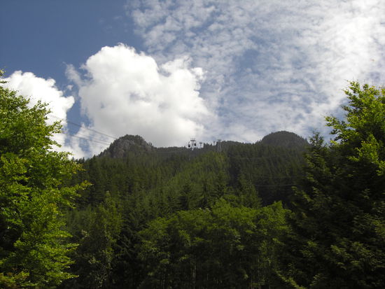 Die Gondel waehre zu einfach (und zu teuer: 26 Dollars)...