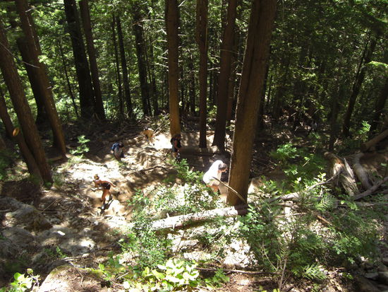 ...es gibt da auch noch einen Wanderweg.