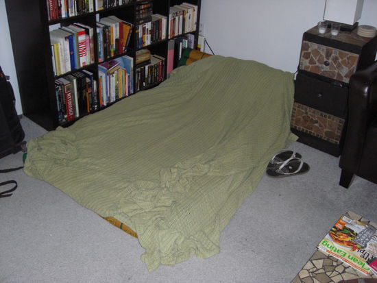 Katze nicht im Bilde...