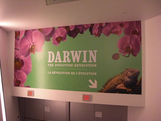 ...Darwin...