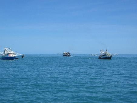 Draussen auf See