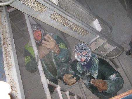 Die Krabben werden bei -18C eingefroren