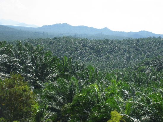 So sieht oftmals die Landschaft aus, wenn wir mit dem Bus reisen.
