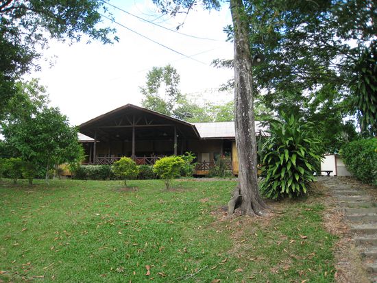 unsere Unterkunft in der Pampa von Sepilok