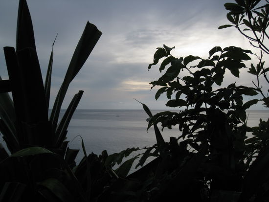 Unsere Aussicht von der Terrasse unseres Bungalows!