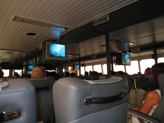 So sah es im Horror-Katamaran aus!  Hier war die Welt noch in Ordnung...