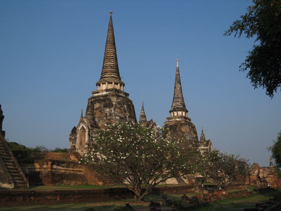 Die Tempel von Ayuthaya...