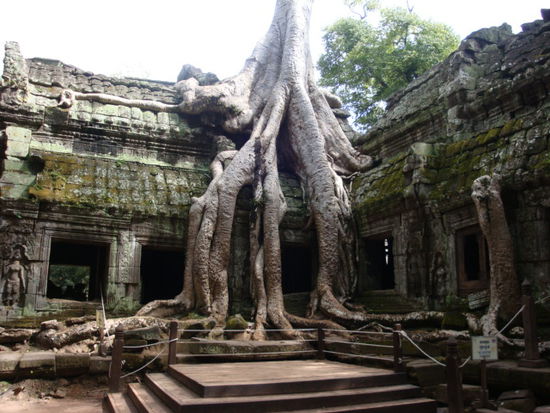 Ta Prohm...