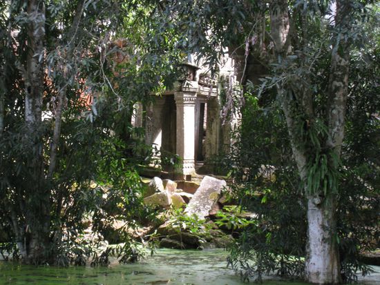 ein weiterer mystischer Anblick...