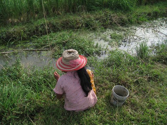 auf unserer Tour durch die Landschaft von Battambang trafen wir zahlreiche Leute am Fischen, denen wir ueber die Schultern schauen durften.