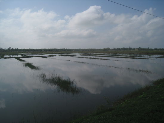 auf Irrwegen entdeckte ich wunderschoene Facetten der Natur!