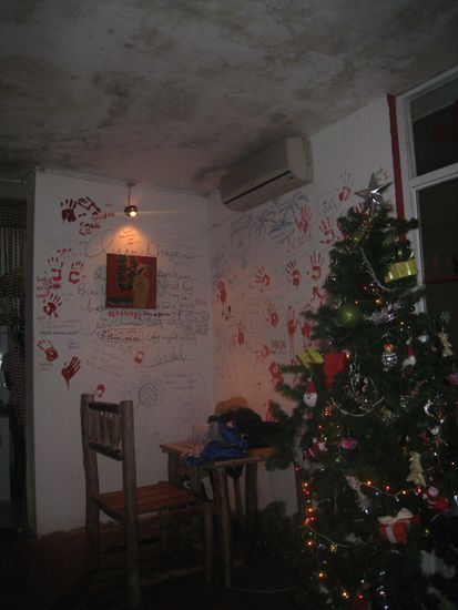 ja ja, nie haette ich gedacht, dass ich auf meiner Reise an Weihnachten Weihnachstbaeume zu Gesicht bekomme...!