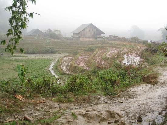 so viel zu den Reisterrassen...