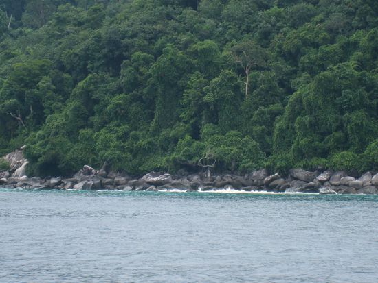 Ein kleiner Schnappschuss von der Bootsfahrt...