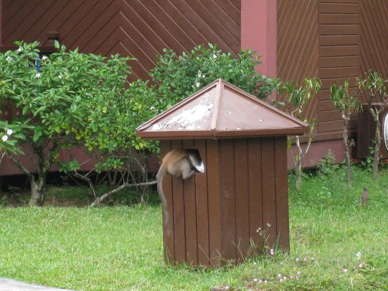 Nachbar Nr. 2
war abgesehen von unserer Waesche auch an anderem interessiert...