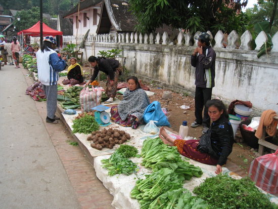 das Markttreiben am fruehen Morgen - ist immer spannend zu verfolgen 