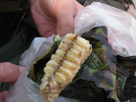 mmmmmhhh... Wir dachten es sei ein leckerer suesser Dessert, welcher in Bananenblaetter eingewickelt war! Doch nachdem der Vegetarier beherzt reinbiss stellte es sich schnell heraus, dass es kein Honig sondern Larven waren! Mmmh... En Gueta! 