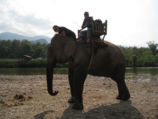 Hoch zu Elefant!  Jeannine sieht hier auf dem Foto erstaunlich relaxt aus! Hut ab! 
