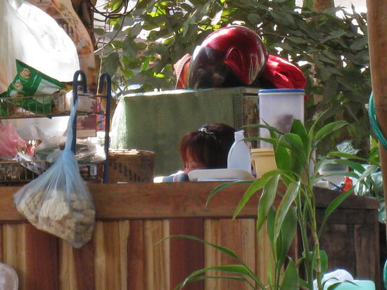 Man beachte die schlafende Restaurantbesitzerin in der Mitte des Bildes! Eigentlich wollten wir ja bezahlen... 