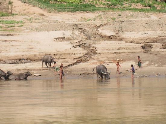 Bilder unserer Bootsfahrt... Hier spielt jeder mit jedem! 
