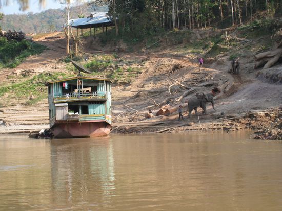 .. man beachte die Arbeitselefanten rechts im Bild...