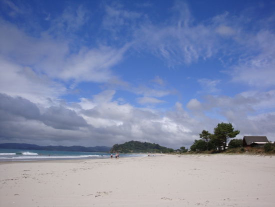 Einer der diversen schoenen Straende in Coromandel in der Naehe des New Chum's Beach!