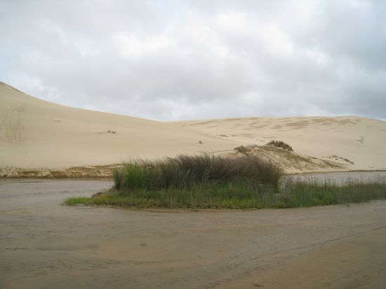 hier flitzte Jeannine die Duenen hinunter! 